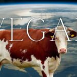 Vegan and the earth