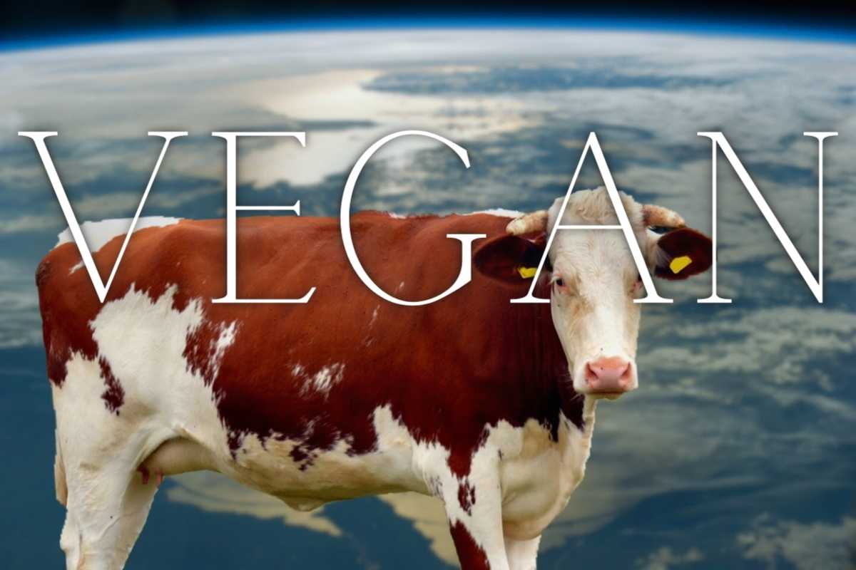 Vegan and the earth